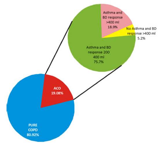 RAMR -Volume 22 Number 2 - Asthma-COPD Overlap: Findings of the EPOC.AR ...